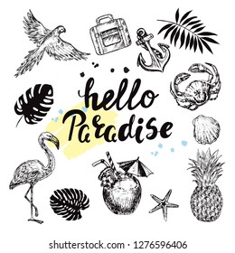 Calligraphy lettering hello paradise and hand drawn sketch illustration summer elements