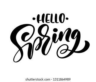Calligraphy lettering phrase Hello Spring. Vector Hand Drawn Isolated text. sketch doodle design for greeting card, scrapbook, print
