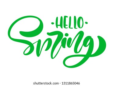 Calligraphy lettering phrase Hello Spring. Vector Hand Drawn Isolated text. sketch doodle design for greeting card, scrapbook, print