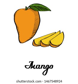 Calligraphy mango with slices on white background for posters, cards, branding, decor, illustration