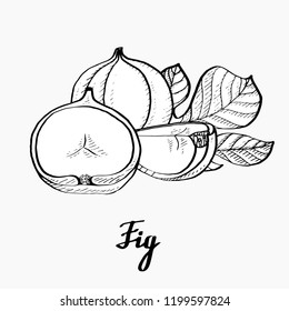 Calligraphy monochrome fig poster for web, textile, branding