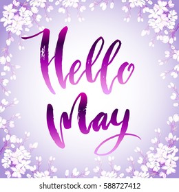 Calligraphy quote hello may. Hand drawn blossom cherry branches. Handwritten lettering quote, sakura floral border frame on pink watercolor background Vector illustration stock vector.