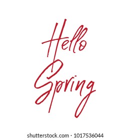 Calligraphy quote hello spring. Handwritten lettering on white background isolated, modern brush pen lettering Vector illustration stock vector.