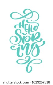 Calligraphy quote hello spring. Handwritten lettering on white background isolated, modern brush pen lettering Vector illustration stock vector