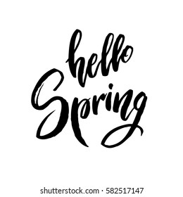 Calligraphy quote hello spring. Handwritten lettering on white background isolated, modern brush pen lettering Vector illustration stock vector.