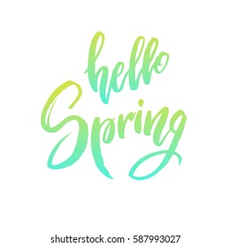 Calligraphy quote hello spring. Handwritten lettering on white background isolated, modern brush pen lettering Vector illustration stock vector.