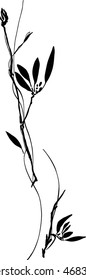 calligraphy sketch flower