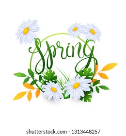 Caligrafía de primavera decorada con flores de margarita sobre fondo blanco. Se puede usar como diseño de tarjetas de felicitación.
