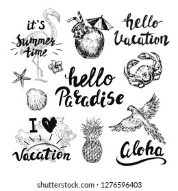 Calligraphy summer lettering and hand drawn sketch illustration summer elements