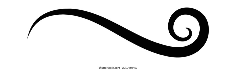 Calligraphy Swirl Decorative Design Element