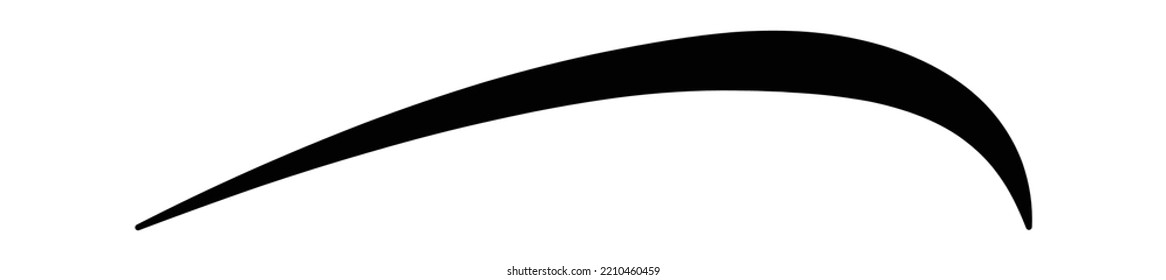 Calligraphy Swirl Decorative Design Element