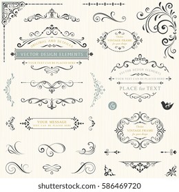 Calligraphy Swirls, Swashes, Ornate Motifs And Scrolls. Vector Illustration.