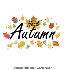 Calligraphy text with the inscription Hello Autumn. Watercolor maple falling leaf, hand drawn. Fall welcoming greeting poster design. Vector illustration