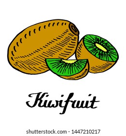 Calligraphy vector kiwifruit for cards, posters, decor, branding