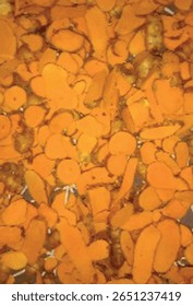 Papel de parede caligrafia de Turmeric molhado, método tradicional para secar Turmeric.