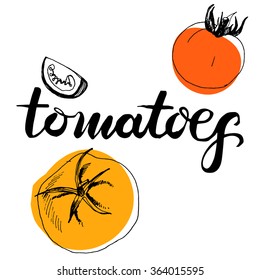 Calligraphy word tomatoes and sketched tomatoes