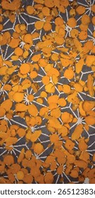 Papel de parede inspirado em caligrafia retratando Haldi úmido com cenas autênticas de secagem tradicional cúrcuma.