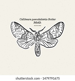Calliteara pseudabietis Butler is a moth of the family Erebidae. hand draw sketch vector.