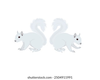 Callosciurus finlaysonii on a white background.