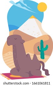 Calm camel desert animal flat vector illustration  EPS 10