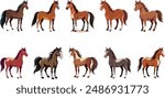 Calm Horses. Sets of Calm horses. Clipart, Design, Logo, Vector, Illustration, Line art, Drawing.