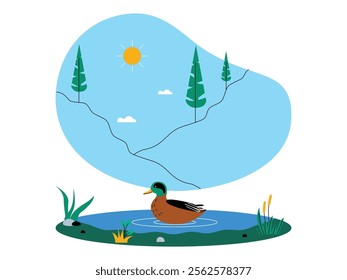 A calm lake view under the clear sky, a mallard duck is swimming, there are some aquatic plants and small stones, green trees and some white clouds, peaceful atmosphere, ecosystem vector illustration.