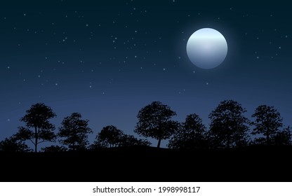 Noche tranquila en el bosque. Bosque en una hermosa noche