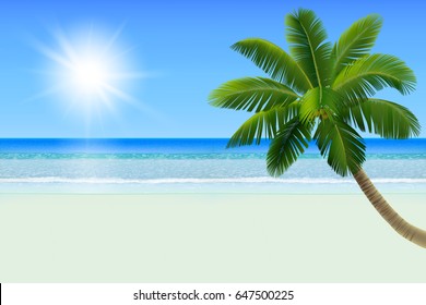 Calm sea (ocean) with horizon, an empty big tropical beach with white sand and a palm (a coconut tree), clear blue sky with the Sun. Realistic vector illustration.