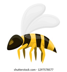 Calm wasp icon. Cartoon of calm wasp vector icon for web design isolated on white background