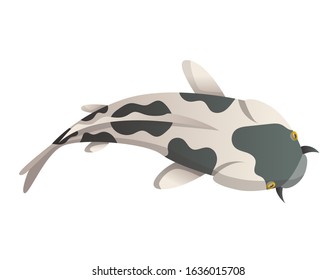 Calmly floating fish. Koi fish vector illustration
