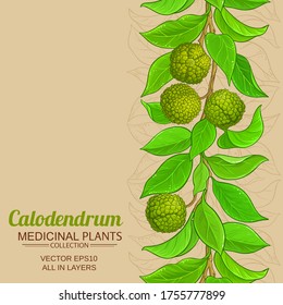 calodendrum vector background on color background