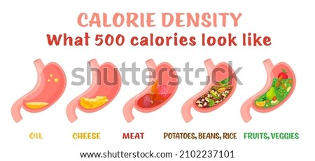 Calorie density. What 500 calories look like in the stomach. Horizontal medical poster. Colorful infographic. Healthy eating concept. Editable vector illustration isolated on a white background.