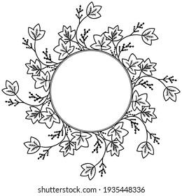 Calumba in sketch style, medicinal plant. Jateorhiza palmata hand drawn doodle illustration. Frame or border.