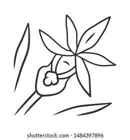 Calypso orchid linear icon. Exotic, tropical flower. Fairy slipper. Calypso bulbosa. Wildflower paphiopedilum. Spring blossom. Thin line illustration. Contour symbol. Vector isolated outline drawing