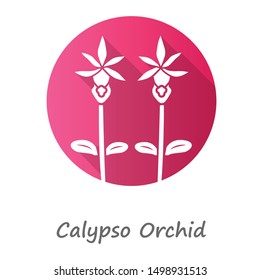 Calypso orchid pink flat design long shadow glyph icon. Exotic, tropical flower. Fairy slipper with name. Calypso bulbosa inflorescence. Wildflower paphiopedilum. Vector silhouette illustration