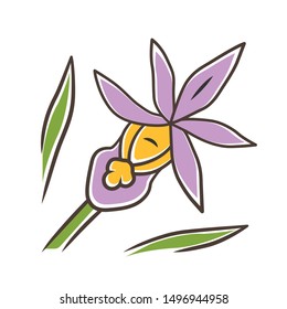 Calypso orchid purple color icon. Exotic, tropical blooming flower. Fairy slipper. Calypso bulbosa. Wildflower paphiopedilum. Spring blossom. Isolated vector illustration