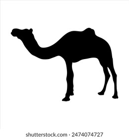 Camal silhouette , doodle style. illustration in icon, logo style. Black and white