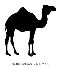 Camal silhouette , doodle style. illustration in icon, logo style. Black and white