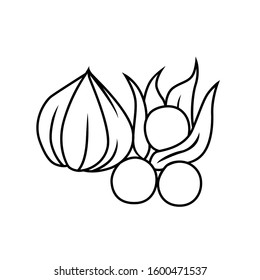 Camapu black and wihte vector for all purpose