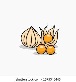 camapu vector with color for all purpose