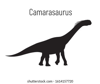 Camarasaurus. Sauropodomorpha dinosaur. Monochrome vector illustration of silhouette of prehistoric creature camarasaurus isolated on white background. Stencil. Huge fossil dinosaur.