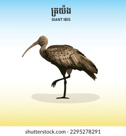 Kambodscha-Gigant Ibis Khmer Vektor