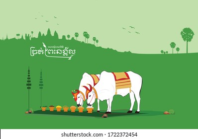 Cambodia Royal ploughing Ceremony green 