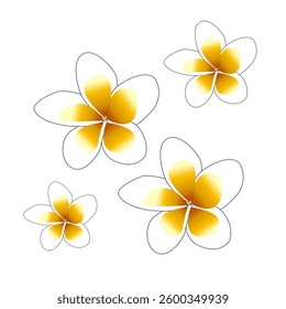 cambodjia flower pattern white background