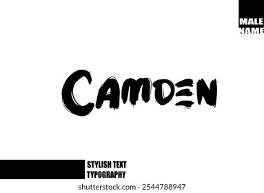 Nome Do Menino Do Bebê De Camden Em Negrito Grunge E Rough Tipografia Escova Texto