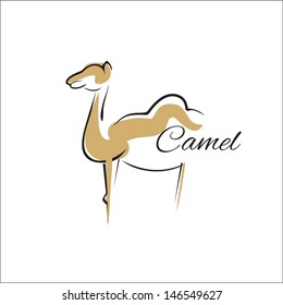 Camel