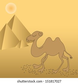 camel