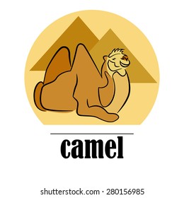 Camel