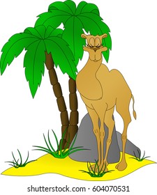 Camel