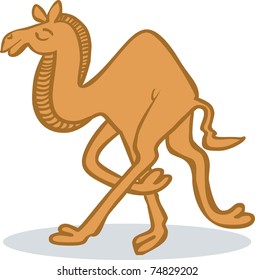 Camel